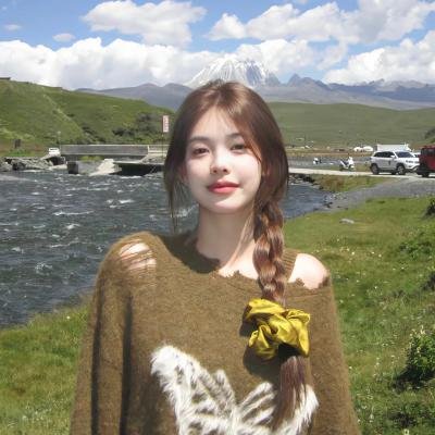 拉比耶对战小布希